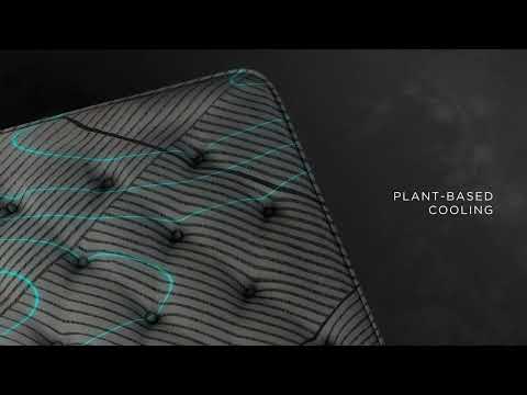 Beautyrest Black L-Class and LX-Class