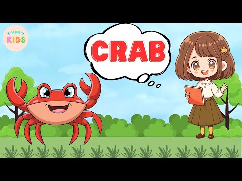 Crab Facts For Kids 🦀 Learn All About Crabs | MON Kids