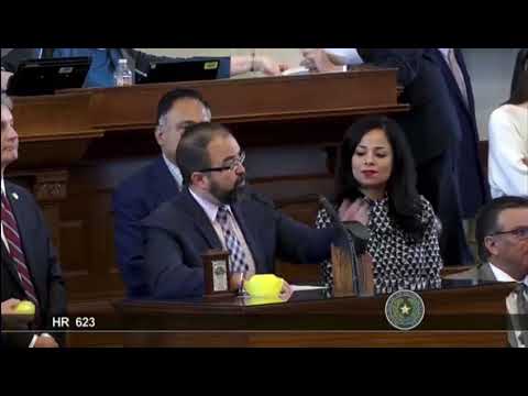 Education and Sharing Day 2023 in the Texas House