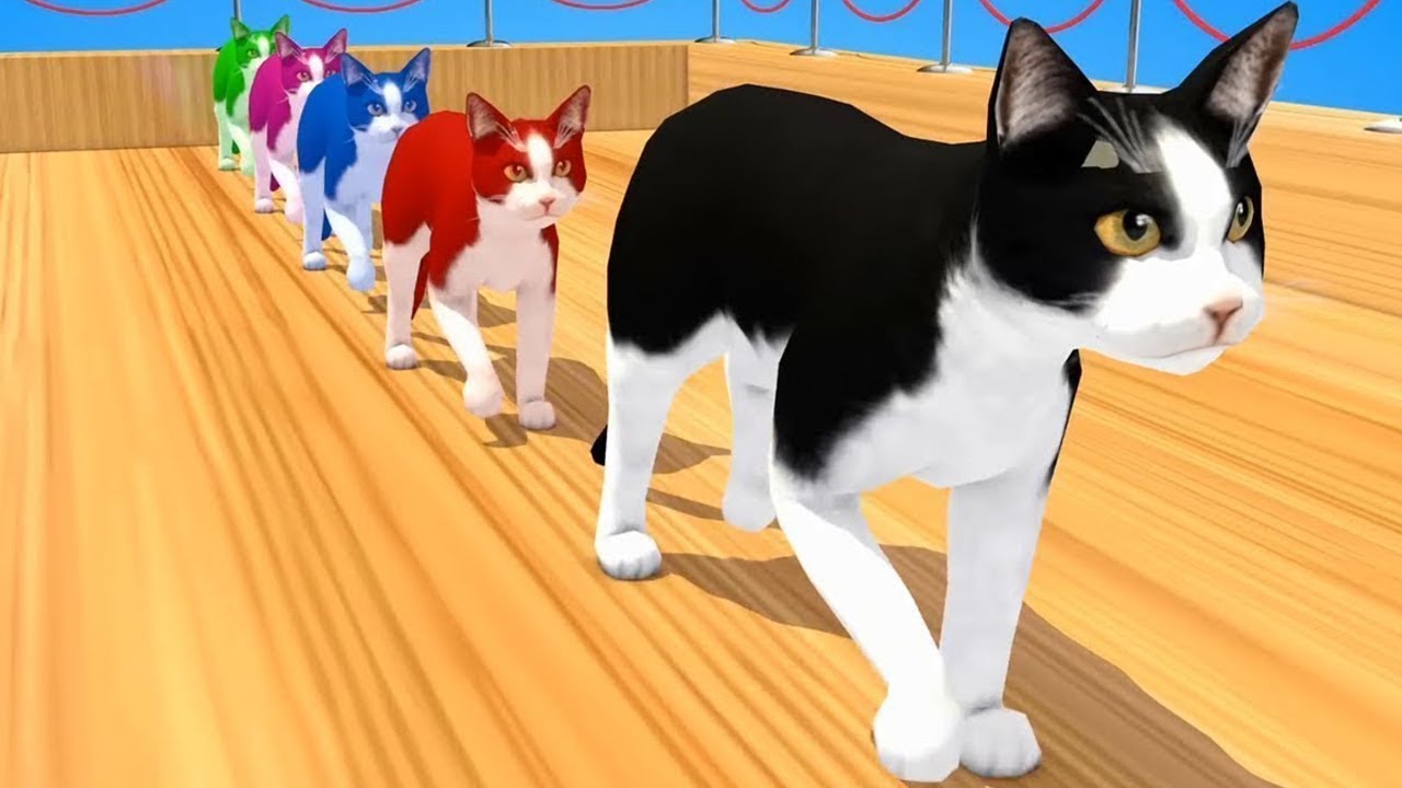 Belajar warna dengan binatang lucu | Belajar Mengenal Hewan Hewan Peternakan Untuk Anak-Anak