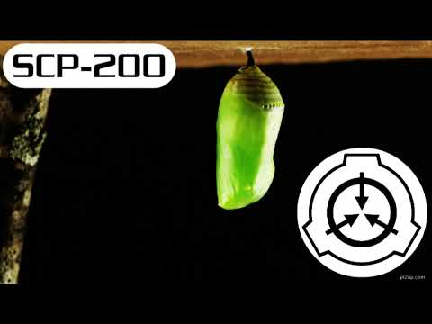 SCP-200: Chrysalis