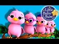 Five Little Birds | Nursery Rhymes | Original Song based on "5 Little Ducks" by LittleBabyBum!