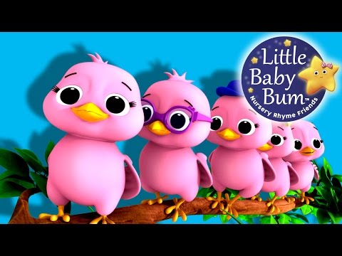 download lagu mp3 mp4 Pink Duck, download mp3 Pink Duck free download, download mp3 Pink Duck