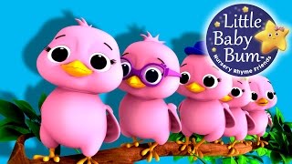 Five Little Birds  Nursery Rhymes  Original Song b
