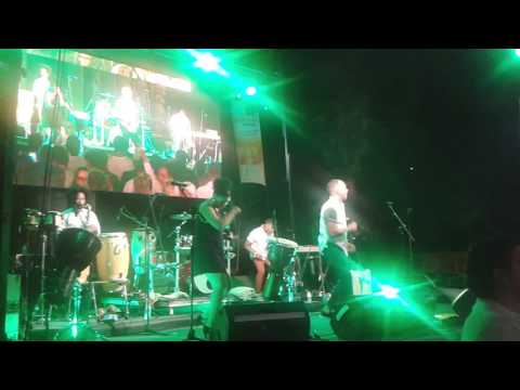 Larsito - Tai Chi in Havanna" En Palma De Mallorca