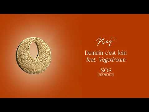 Nej' - Demain c'est loin feat. Vegedream