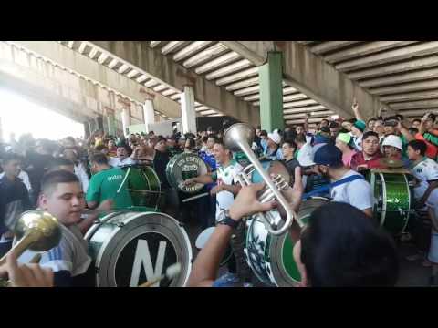 Nueva Chicago Vs Brown De (PM) Previa De Los Pibes De Chicago (Despacito)