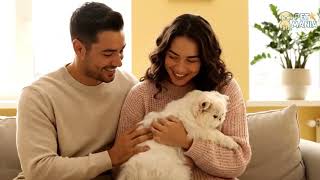 Eu vou Criar a melhor propaganda para seu negócio com I A.