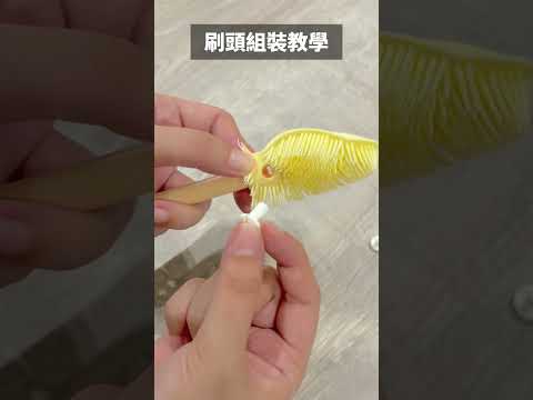 零死角杯刷|刷頭拆裝教學