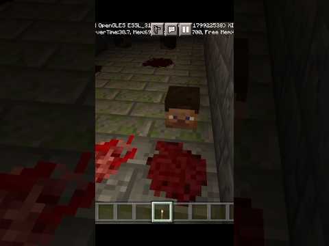 I entered a very scary place in Minecraft