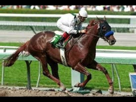 The Wood Memorial Stakes (G1)  2001 -  Congaree