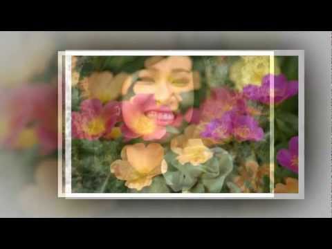 Mùa xuân gọi Sheet - Trần Thu Hà