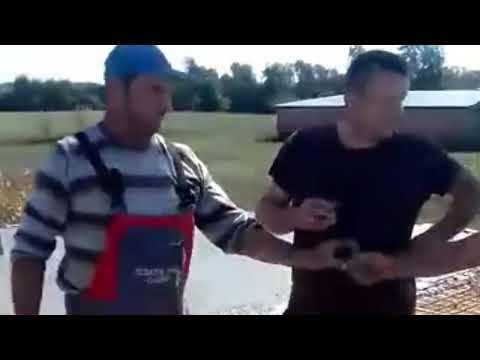 MISKO I POBRO - DEVOJKA SA PRELA - NASUVO