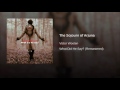 Victor Wooten - What did he say? -The Sojourn of Arjuna