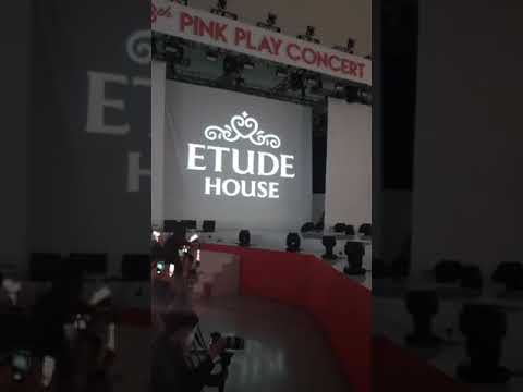 Red Velvet on Etude House 8th Pink Play Concert Instagram Live 2⃣ | April 14, 2018