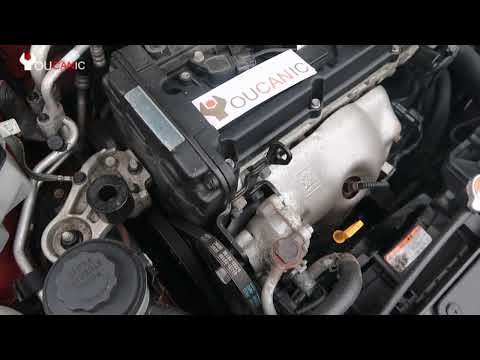 Squeaky Serpentine Belt? Here’s How to Fix It!