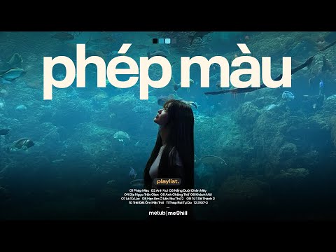 Nhạc Lofi Chill Triệu View ♬ BXH Nhạc Lofi Chill 2025 Thịnh Hành Hay Nhất - Playlist Lofi Mix Buồn