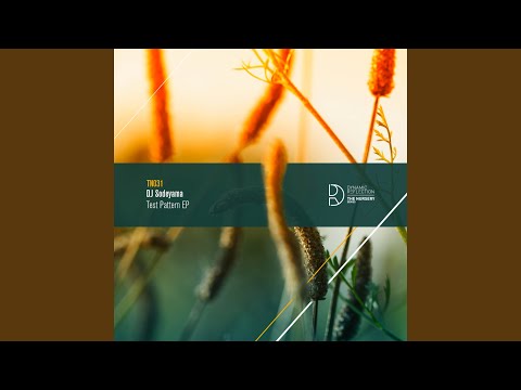 Test Pttrn 013 (Original Mix)