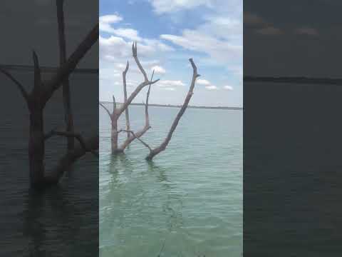 #pescaria mata dos macacos Guaraci São Paulo