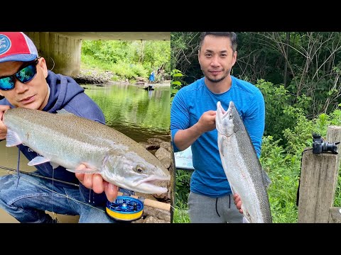 Catching big fish in a TiNY CREEK/ summer STEELHEAD!!