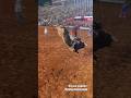 O TOURO MAIS CARO DO BRASIL PULANDO EM BARRETOS 2023,TOURO "ACESSO NEGADO"(video zika bullfighter)