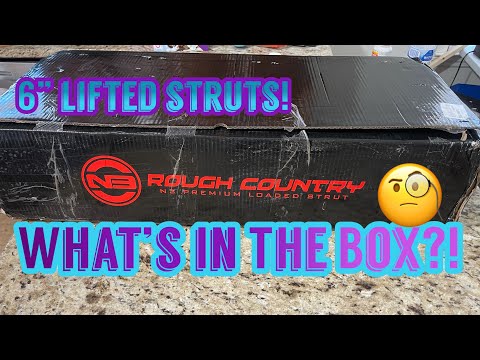 Rough Country N3 Loaded Struts - F150