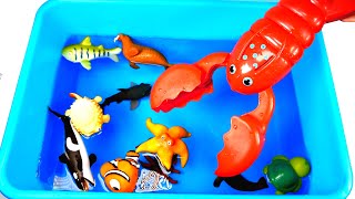 Fun Zoo Animals - Toys For Kids - Happy Cute Animals Sorting