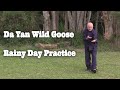 Da Yan Wild Goose Qigong - 27 Movement Rainy Day Practice