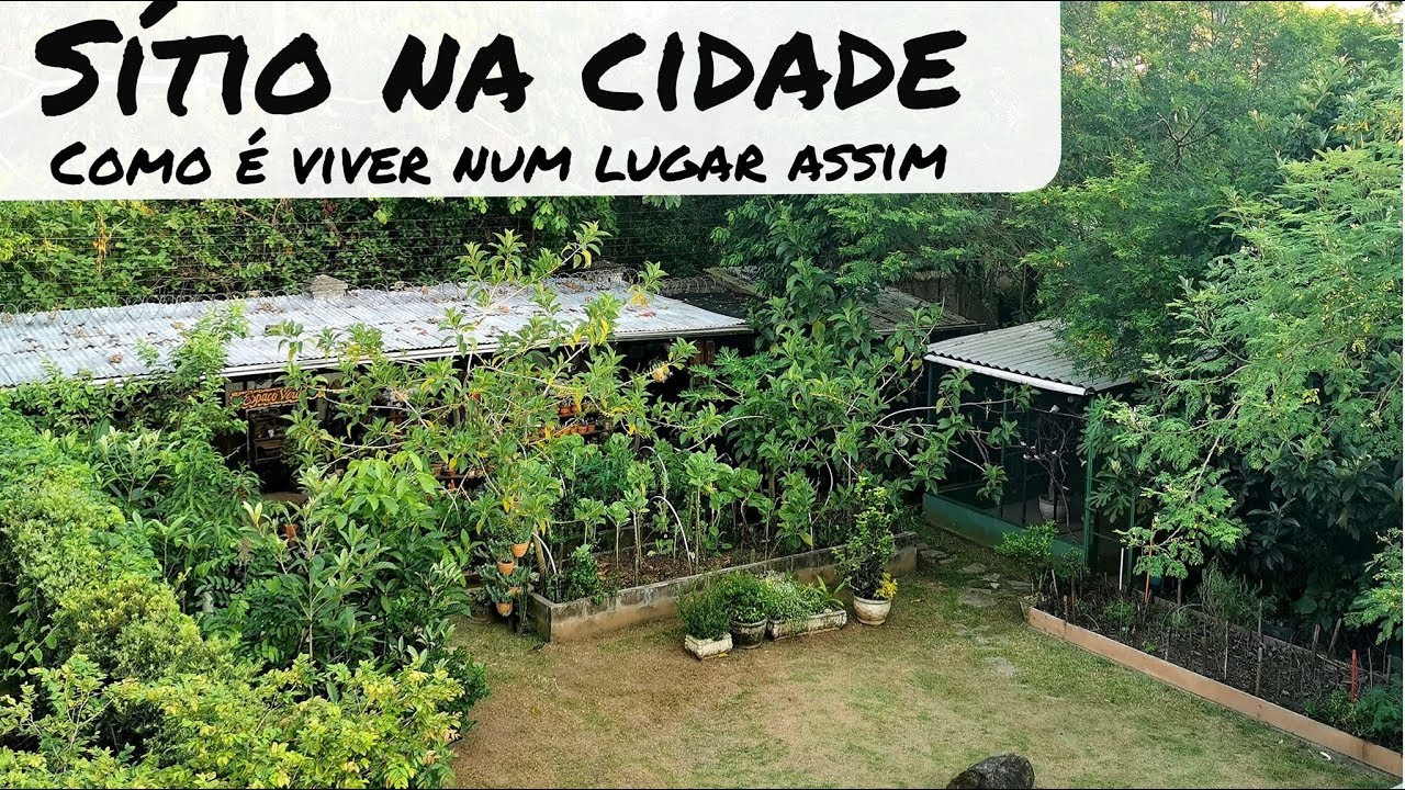 Fiz da minha casa um sítio no centro da cidade!