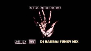Saldek - Dead Can Dance (Dj RadraS Funky Mix)