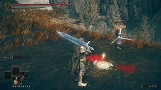 [ELDEN LING DLC]#1 月光で無双してみる