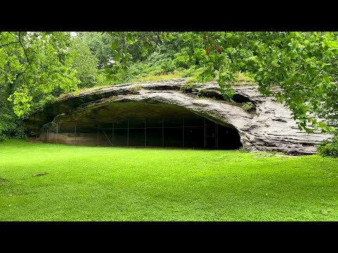 youtube embeded image