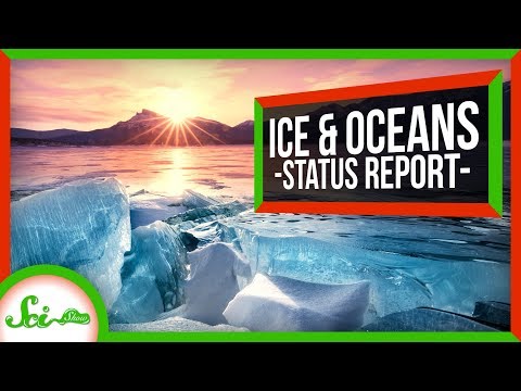 Our Oceans Aren’t Doomed… Yet? | SciShow News