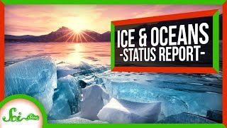 Our Oceans Aren’t Doomed… Yet? | SciShow News