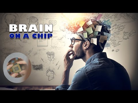 High January 2024 | Brain on a Chip | Brainfeed TV