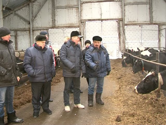 Зимовке-пристальное внимание