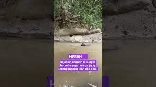 Download lagu kejadian kemarin di sungai hutan larangan warga yang sedang menjala ikan tiba tiba #shortsviral mp3 Download lagu kejadian kemarin di sungai hutan larangan warga yang sedang menjala ikan tiba tiba #shortsviral mp3