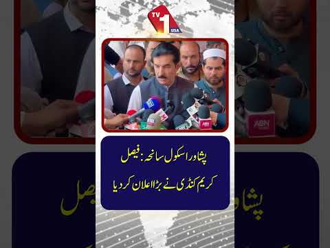 پشاور اسکول سانحہ: فیصل کریم کنڈی کا اہم اعلان