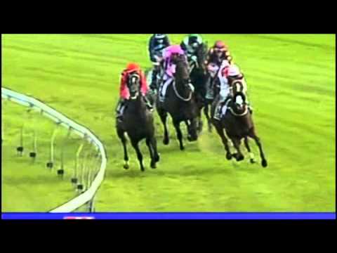 2009 T J Smith - Takeover Target