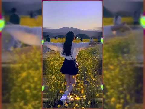 Ｄｊ Ｓｔａｒ ｓｋｙ ｎｅｗ  ｔｒｅｎｄ ｘｍｌ ａｌｉｇｈｔ ｍｏｔｉｏｎ ｘｍｌ ✅🔰⤵️