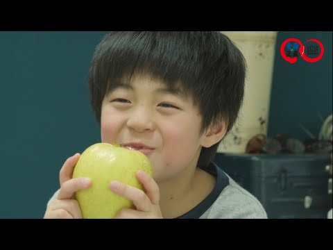 Nurtured by Four Seasons Aomori Apples Hongkong