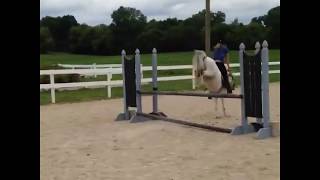 'Naughty or Nice' Holly Welsh/Shetland Pony High Jump