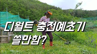 충전 예초기 꼭 사야할까? 네. 남편없어도 나도 할 수 있다. 디월트 충전예초기 리뷰