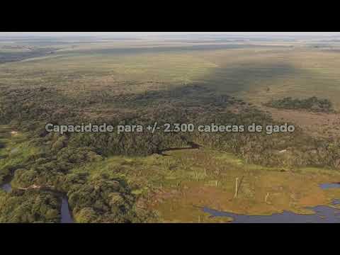 Fazenda Gigante no MS: 1.834 Hectares com Rio, Estrutura Completa e Alto Potencial Agro