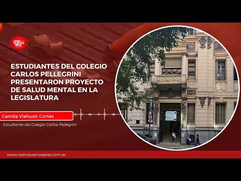 Estudiantes del Colegio Carlos Pellegrini presentaron proyecto de salud mental en la Legislatura