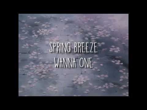 spring breeze by wanna one but it's raining