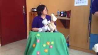 (Teràpia assistida amb gossos) PRIMERA PART: SÓC UN GOS?