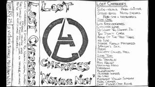 Lost Cherrees - Race Of The Test Tubes (live)