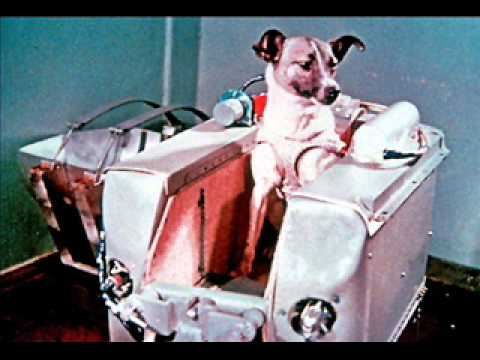 Barky! Barky - Laika