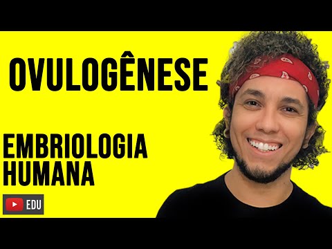 GAMETOGÊNESE: Ovulogênese - Formação de Ovócitos / Biologia com Patrick Gomes
